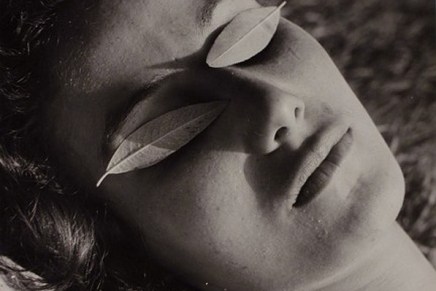 Vid S. Žigon: ČISTA&nbsp;MISEL