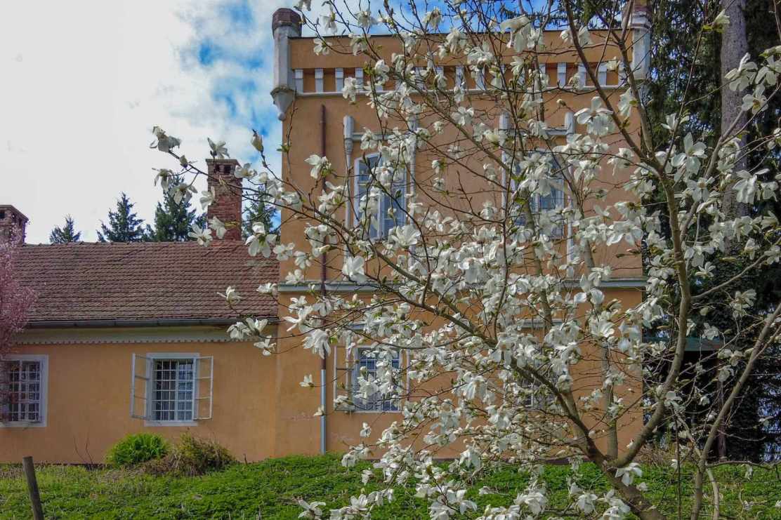 432393937_10220418947182425_841021872598925923_n