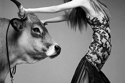 Romana Brolih: IZBACITE&nbsp;BIKA