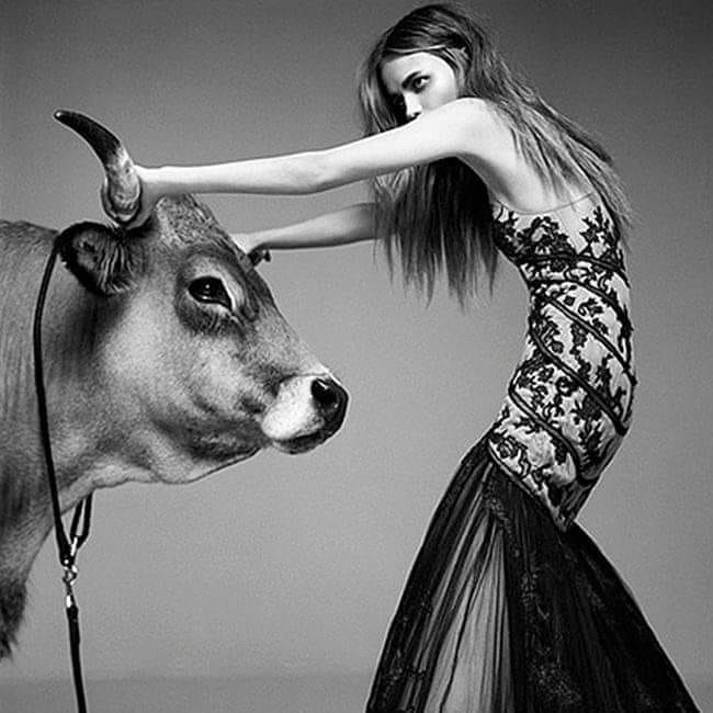 437147476_10232030275647951_2422603685014952593_n