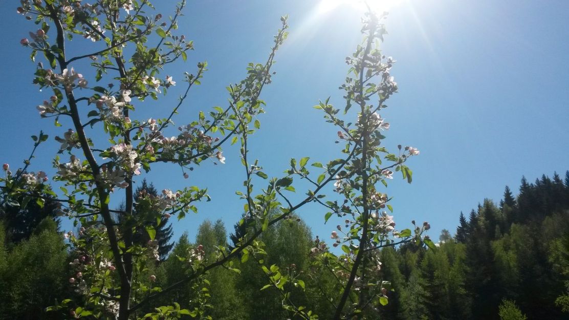 437550268_10225706531873886_919282912734286733_n