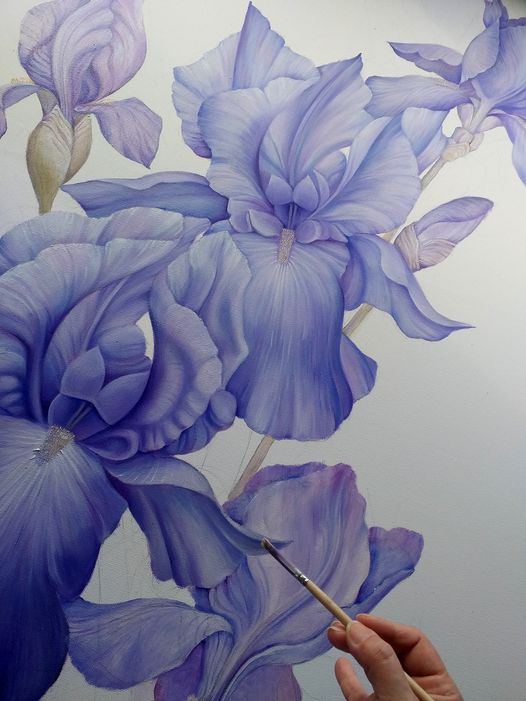 438077638_10232514916795749_218713013549716706_n