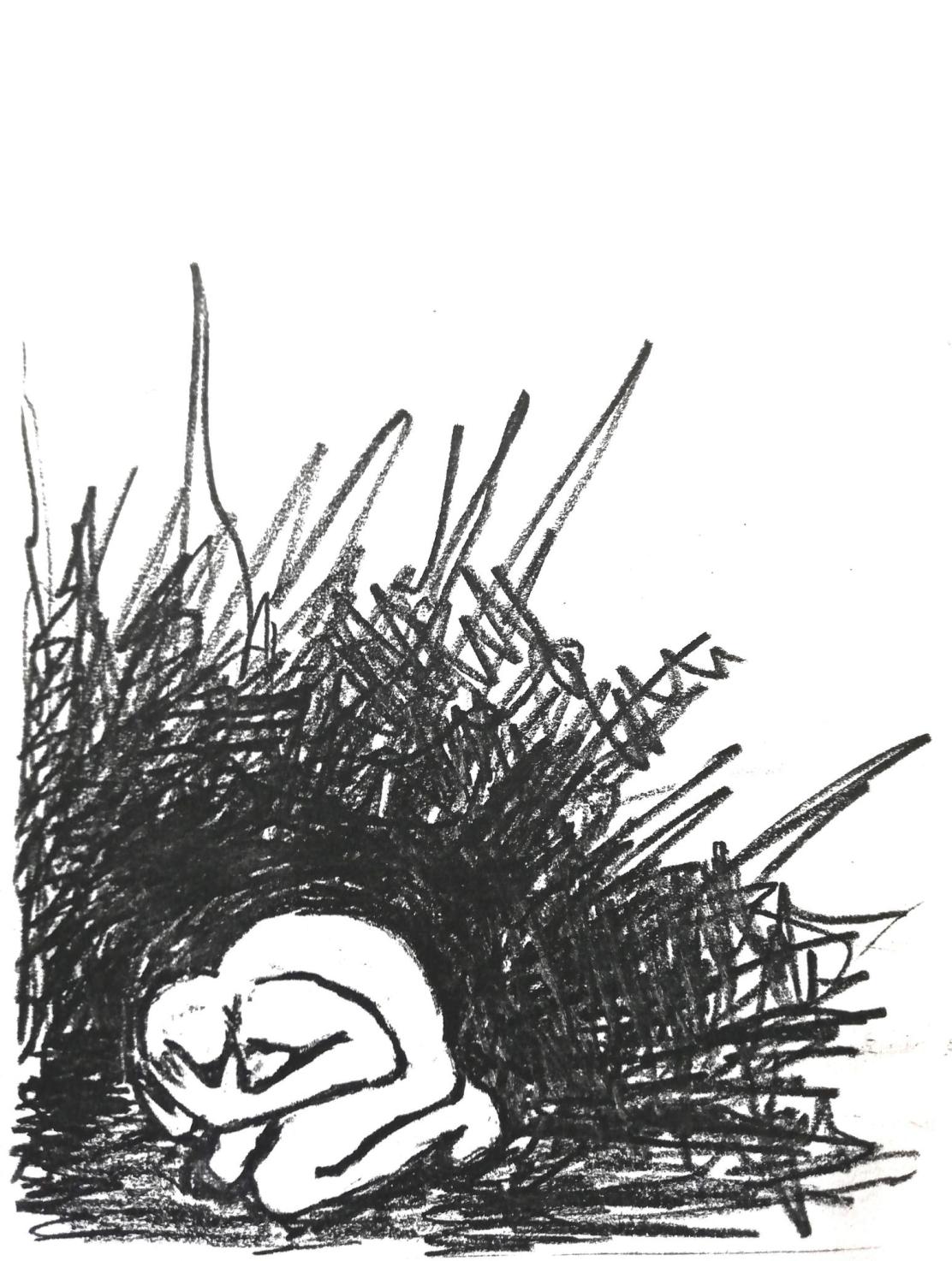 438120407_1891346231304343_9195129137054989064_n