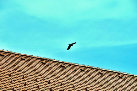 Zbignjev Herbert: Izabranici&nbsp;zvijezda