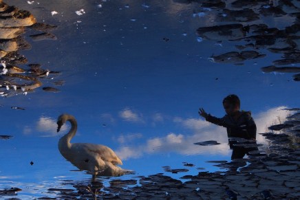 Naida Mujkić: Došla su ponova ta&nbsp;jutra