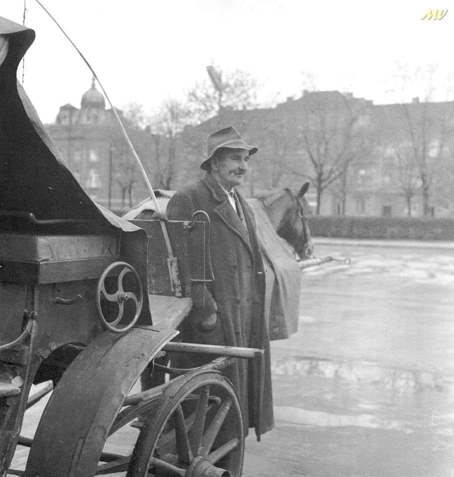 420197965_974566077702305_4465967018775408657_n