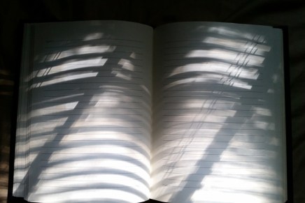 Aleksandar Horvat: ZABLESNI