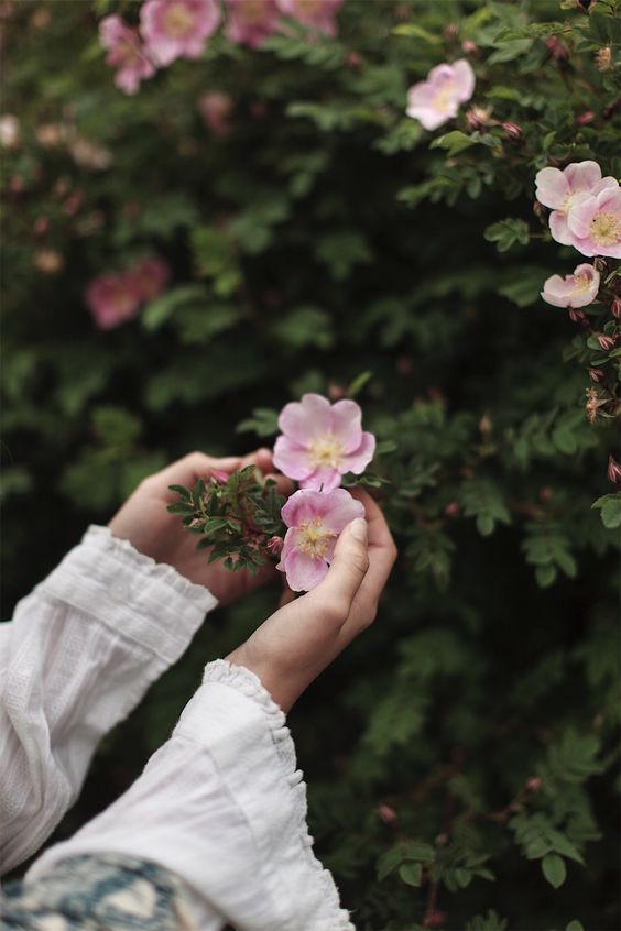 438087894_10220618687415806_56191591148282717