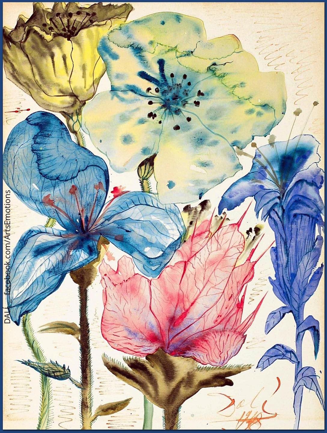 230092965_314001787177049_722649359019512076_n