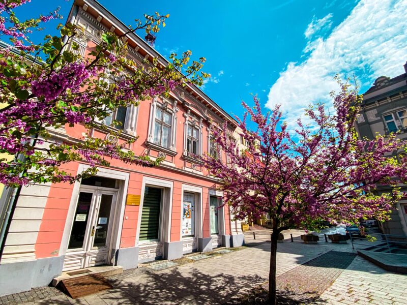 279064841_788185492154609_6320263243798038074_n