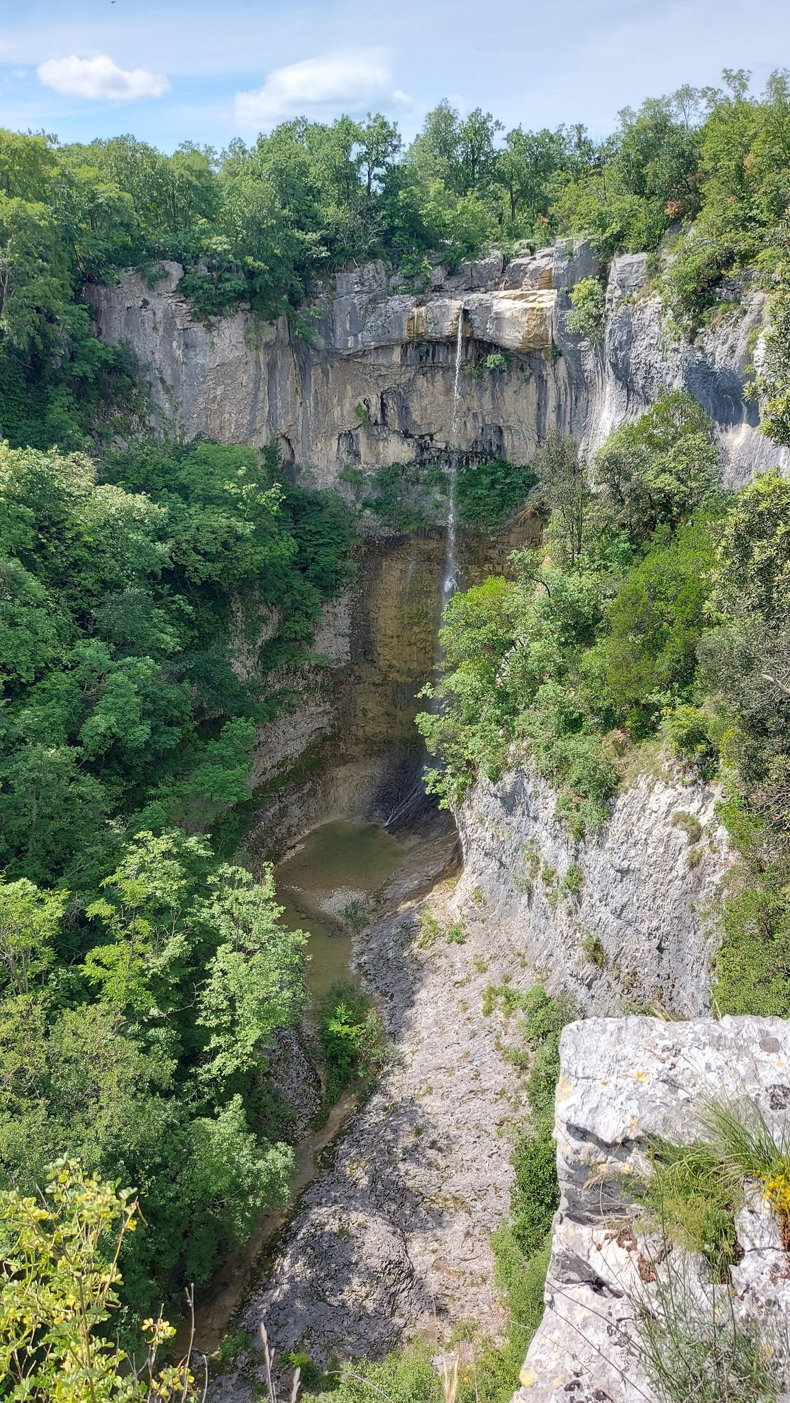 445810491_8300571563293132_8383977327833463018_n (1)