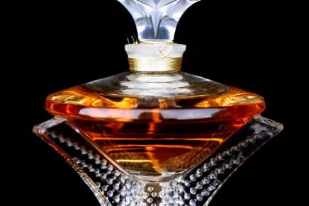 Romano Bolković: MIRIS JE RIJEČ, PARFEM JE&nbsp;KNJIŽEVNOST