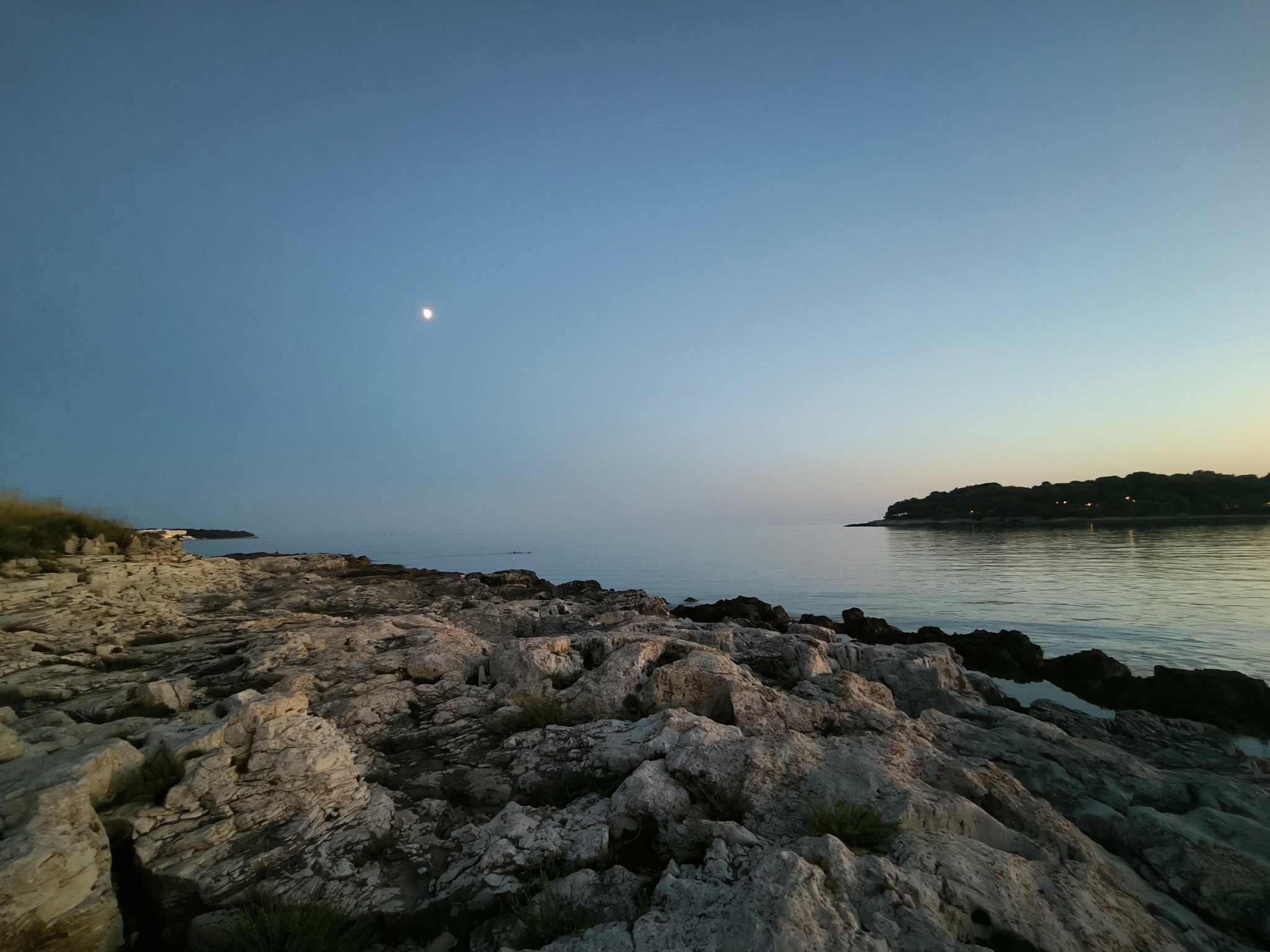 451210781_10161452621169161_5020482938648373148_n (1)