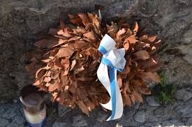 Ivana Šojat: LOVORIKE