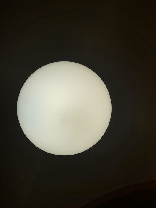 451811019_10232577672052519_8506911950591437851_n