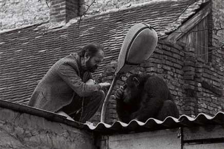 Romano Bolković: Ukinuo bih zoološke&nbsp;vrtove