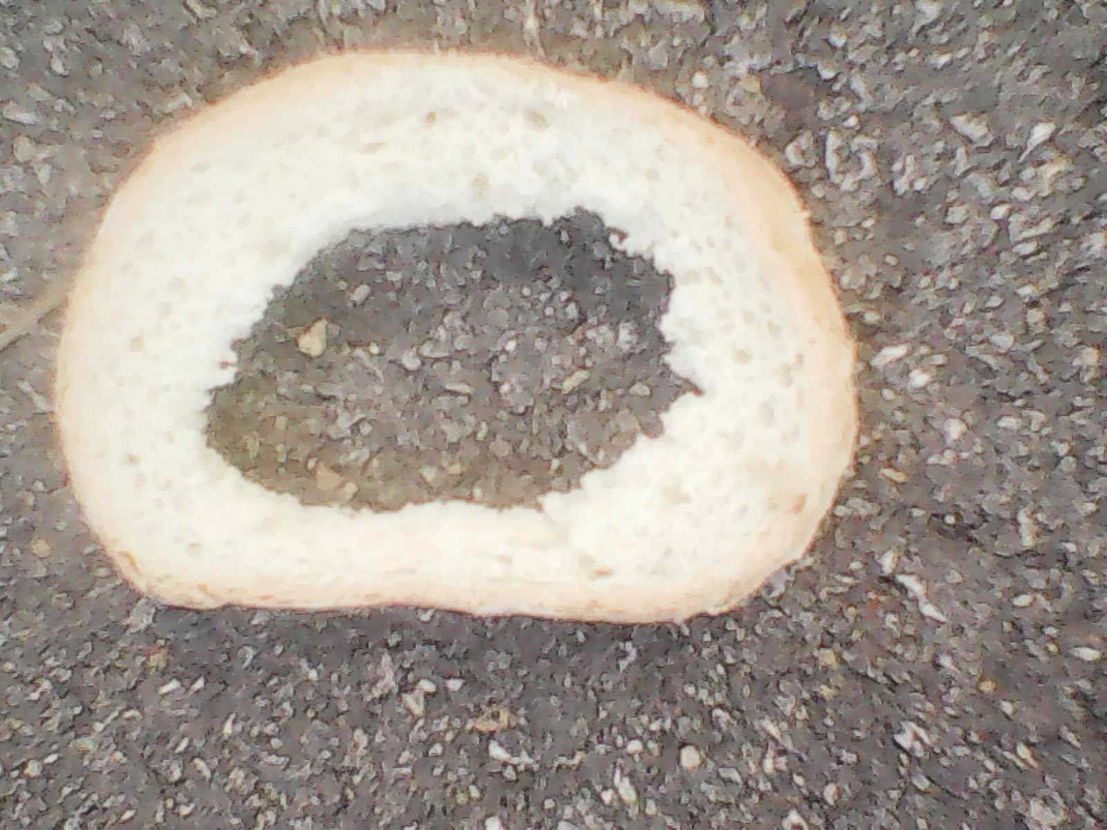 452894074_10236042244743423_8676686940271226800_n