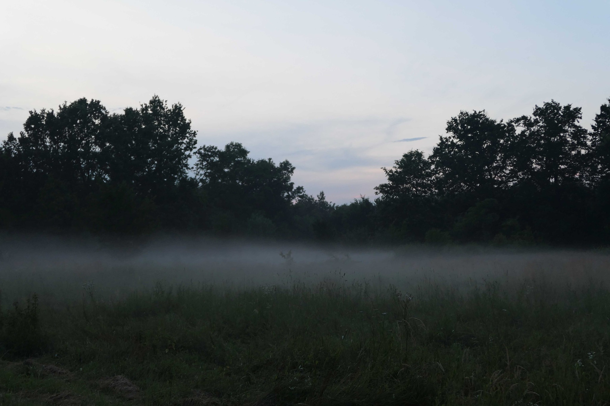 457600119_10236497080274027_8388009583370520012_n