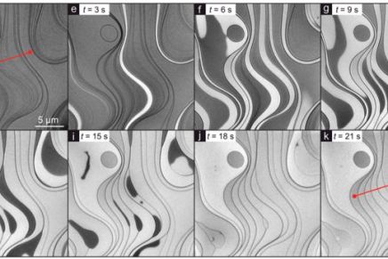 Nikola Devčić Mišo: NEKA CVJETA TISUĆU SINTEZA I NEKA SE NA ŽIVOT I SMRT BORE TEZE I&nbsp;ANTI-TEZE