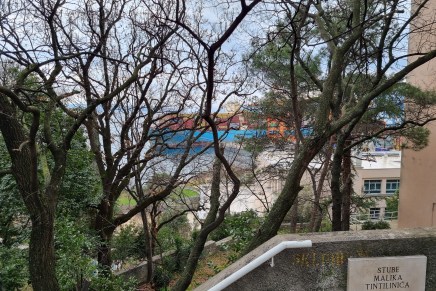 Ivan Molek: Jednodnevni dnevnik povratka u&nbsp;Rijeku