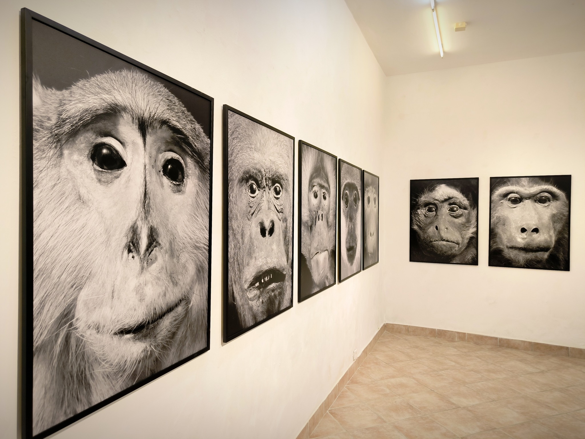 459279113_10161646436734161_1160511173422490999_n