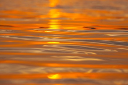 Frida Šarar: Weltschmerz