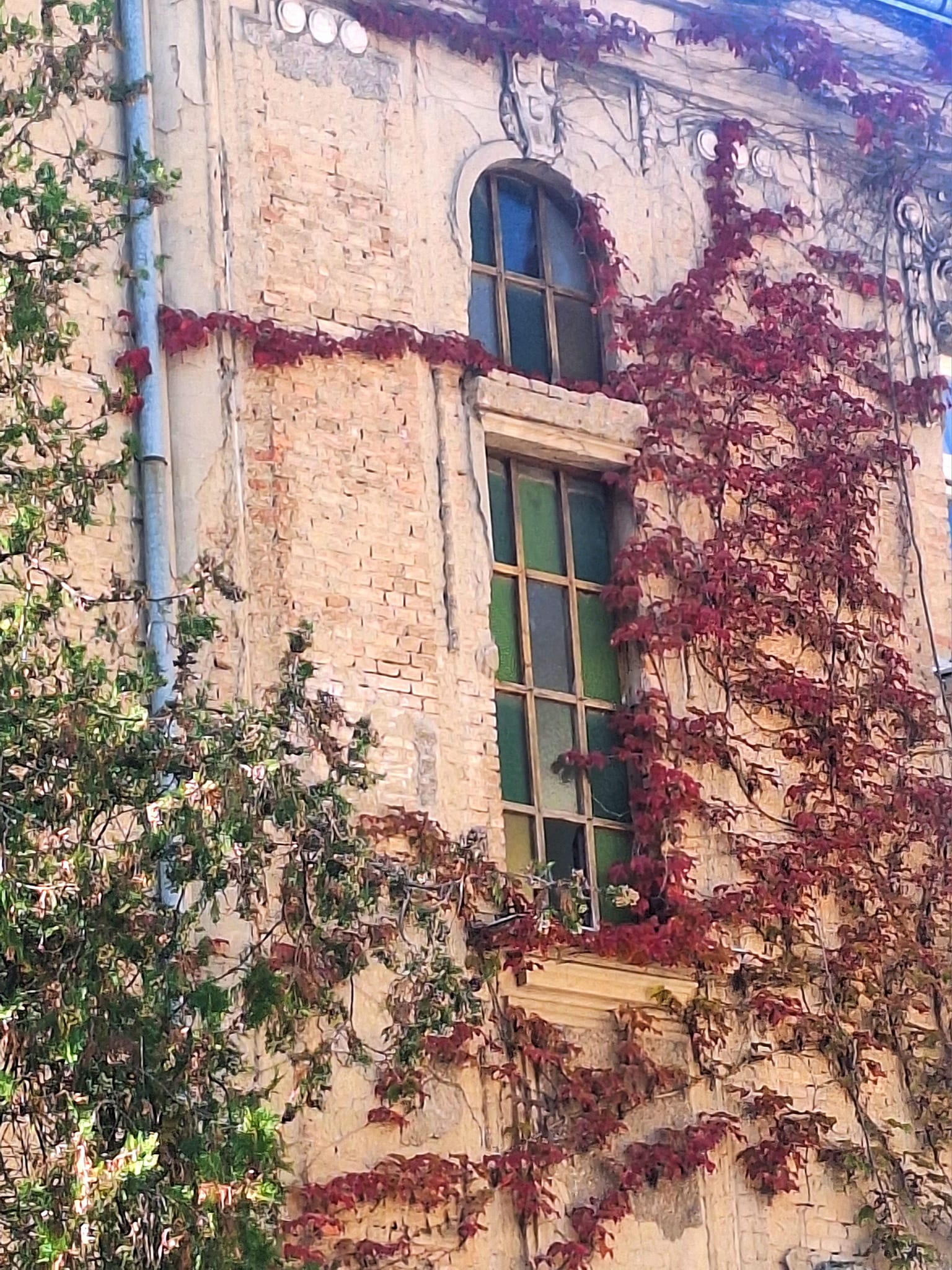 461777085_8334414696673705_2306710332800860618_n