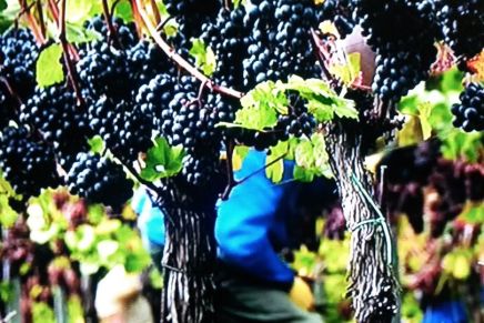 GRANICE KRAJA I&nbsp;BESKRAJA