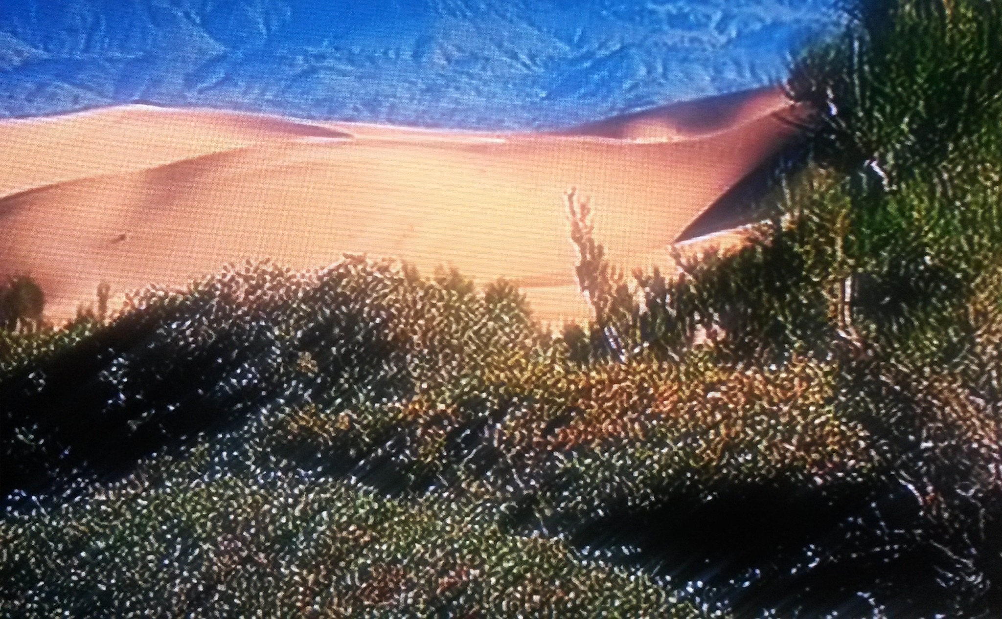 462879871_10227054657856193_6014124571431382410_n