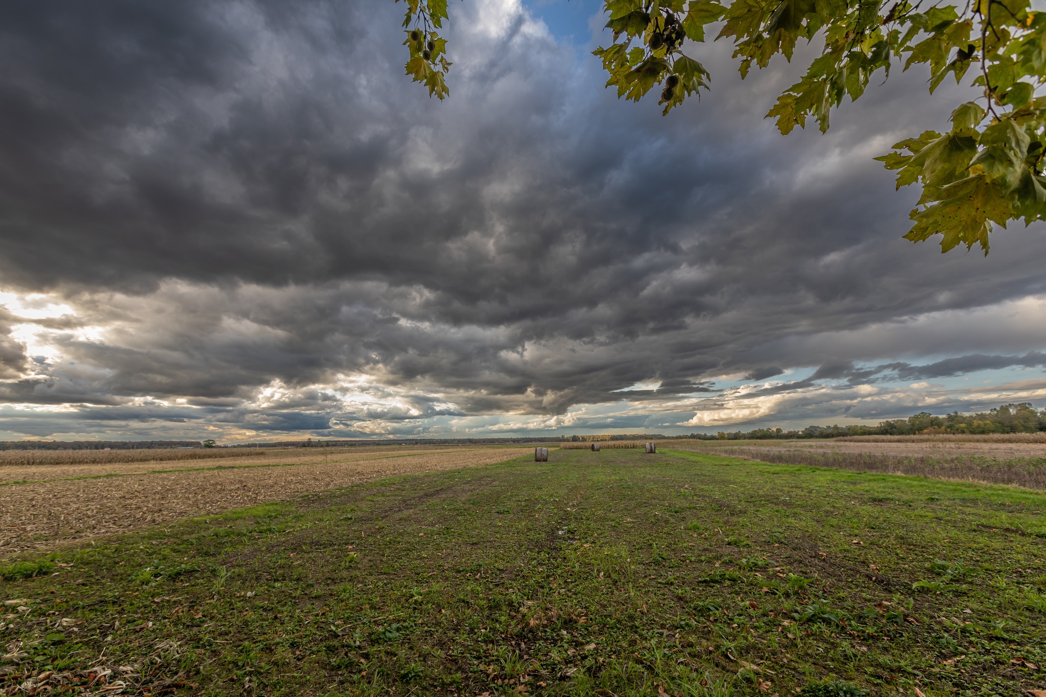 463974004_10221619311670787_8641021492734197676_n