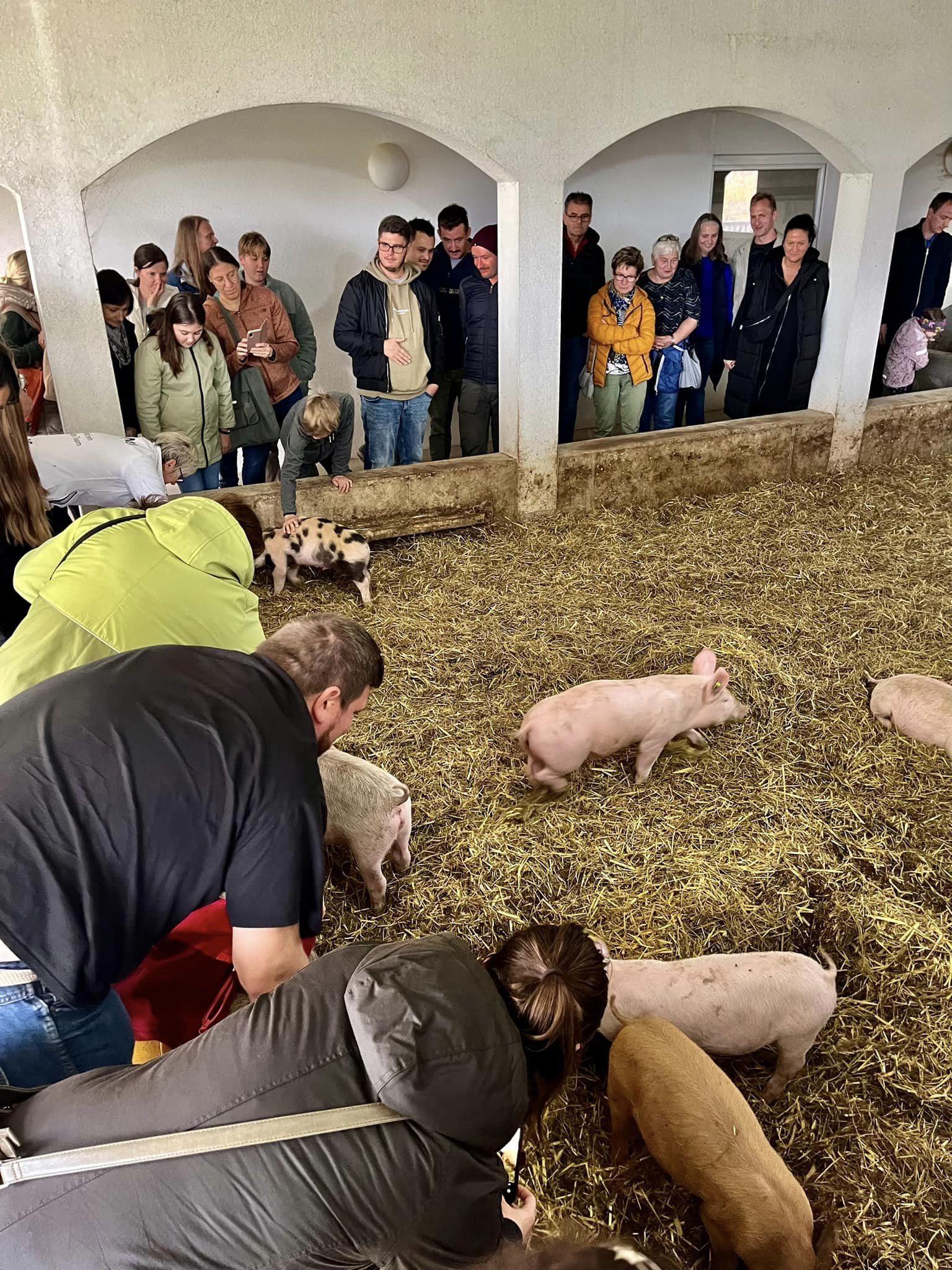 464440517_8439586312828950_5829385872474734726_n