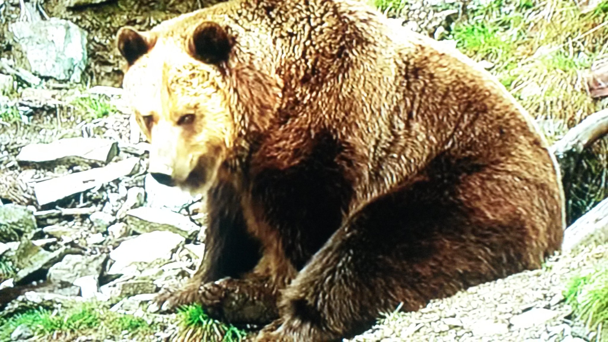 464732162_10227216107132324_7434020804164301036_n