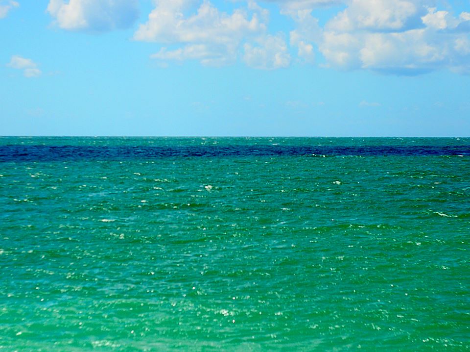 480207_10200858419757311_1846402117_n (1)