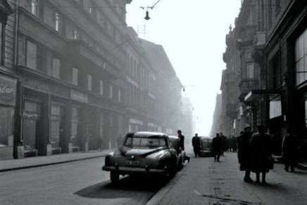 Naida Mujkić: Vozim se starom&nbsp;cestom