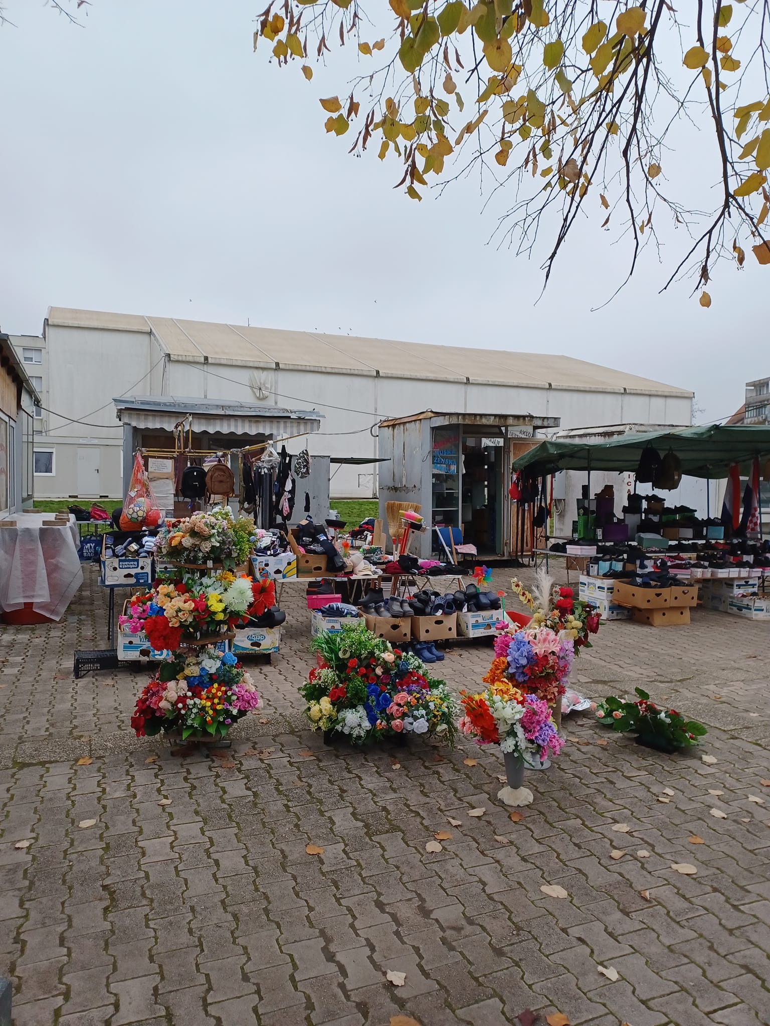 466559703_10235857295799161_8221878490664833936_n