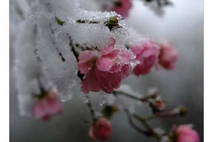 Božica Jelušić: NA PRAGU NEKE&nbsp;NOVE