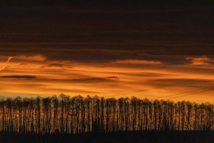 Božica Jelušić: POVRATAK PREDVEČERJU, ZLATNA&nbsp;UTJEHA