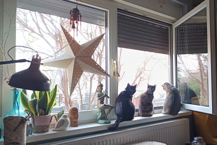 Ivana Šojat: MAČKE I&nbsp;HERMENEUTIKA