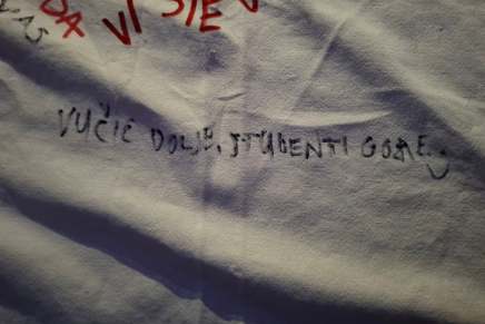 Slavoj Žižek: Novo lice&nbsp;protesta