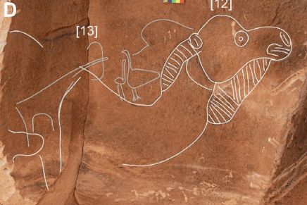 Zoja Strenja-Šolaja: PALESTINA, STIHOVI,&nbsp;DEVA