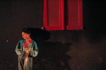 Alma Zornić: Jugovina