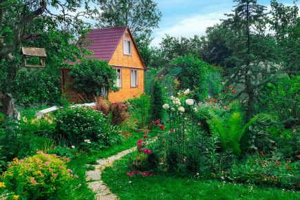 Božica Jelušić: SADNJA VRTA PRIJE&nbsp;OLUJE