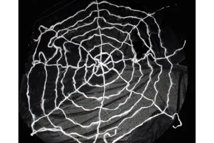 Božica Jelušić: TIHO RAZGRTANJE&nbsp;PAUČINE