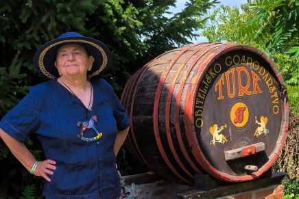 Božica Jelušić: SASTANAK U&nbsp;MEĐIMURJU