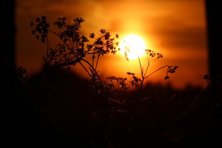 Božica Jelušić: SPONTANI NIZ U SRCU&nbsp;VRELINE
