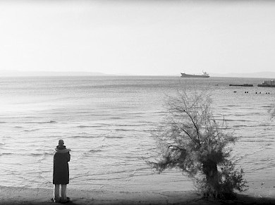 Romana Brolih: Naklonost