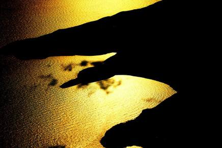 Božica Jelušić: UZALUDNA&nbsp;MARINA