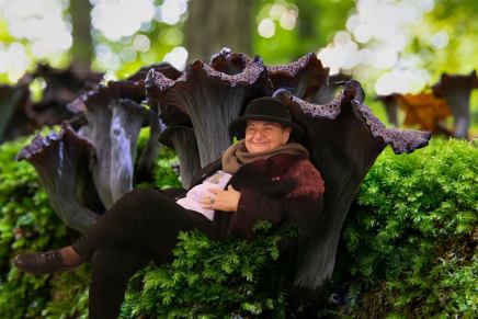 Božica Jelušić: PENDŽER