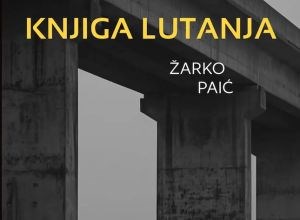 Žarko Paić: Knjiga&nbsp;lutanja