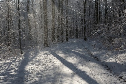Ana Ahmatova: Dvije pjesme po&nbsp;mjeri